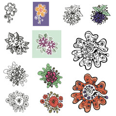 set of vector design of flowers