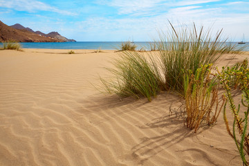 Fototapeta na wymiar Almeria Playa Genoveses beach Cabo de Gata
