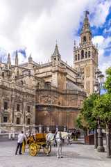 Fototapeta premium Kutscher an der Kathedrale Sevilla lädt zur Rundfahrt ein