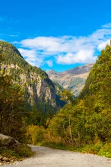Foto op Canvas Autumn colorful landscape in the mountains . © anatoliil