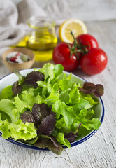 ingredients for a fresh salad with tomatoes