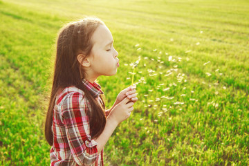 little girl blowing on the dandelion
