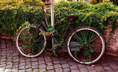 Fototapeta na wymiar Old bicycle parked on the street in Rome, Italy