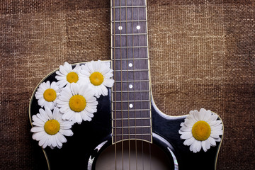 guitar and daisy flowers