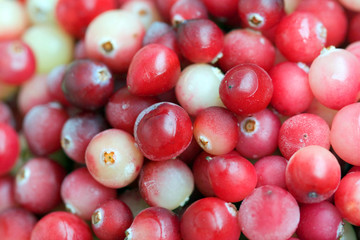 Red Fresh Cranberry close-up background