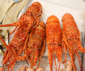 langouste