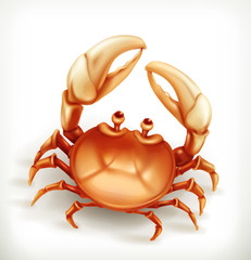 Funny crab, vector icon