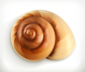 Spiral snail, vector icon