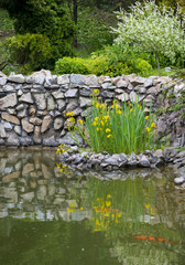 bunch of lilies in middle of lake