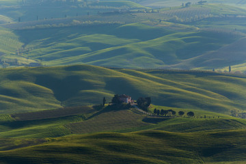 Haus Weingut morgens kw
