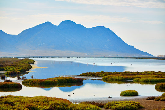 Las Salinas In Cabo De Gata Almeria