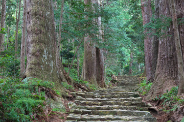 熊野古道・大門坂
