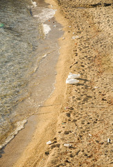 Seagulls on polluted beach 