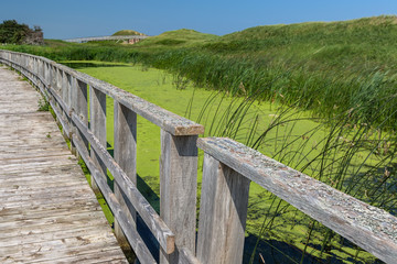 Marsh Walk at the Prince Edward Island National Park, PEI, Canada