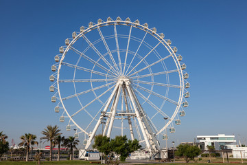 Ferris Wheel in Valencia
