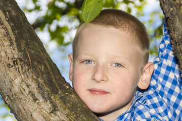 Portrait of a boy in a summer foliage