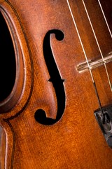 Violin, Music, Musical Instrument.