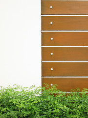 background texture from a white wall with parallel horizontal lines and green plants