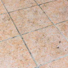 Fototapeta premium Mildewed tiled floor