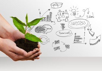 Human Hand, Plant, Growth.