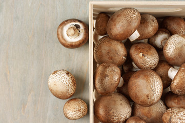 Brown cap mushrooms in box