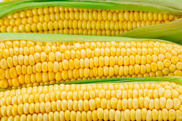 Corn