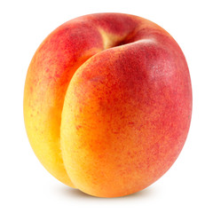 Apricot