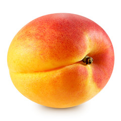 Apricot