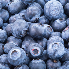blueberries