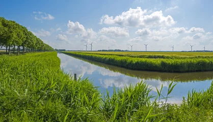 Fototapete Kanal Kanal durch eine ländliche Landschaft im Frühjahr