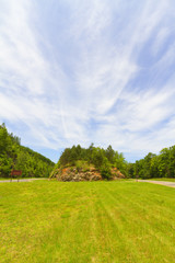 Naklejka premium Grassy landscape.