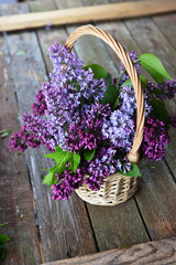 basket with  branch of lilac