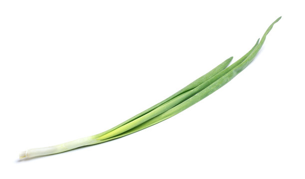 Fresh Leek