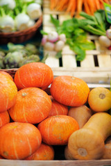 Fresh healthy bio pumpkins