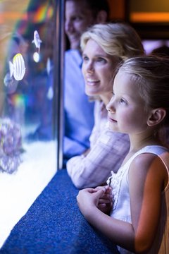 Happy family looking at starfish in a tank 