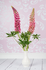 Two pink lupine flowers in a white vase at a living room background with pink wallpaper