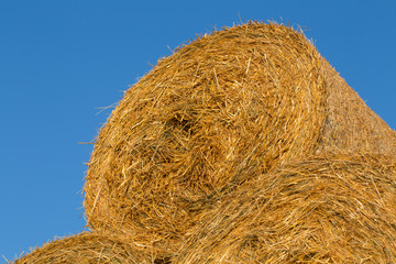 Piled hay bales on a field against blue sky