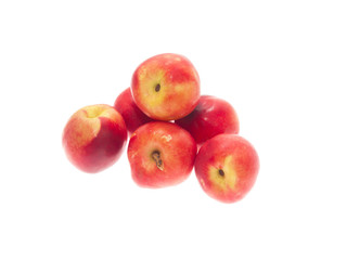 nectarines