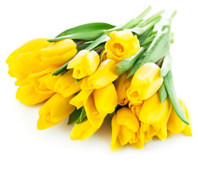 bouquet of yellow tulip flowers isolated on white background