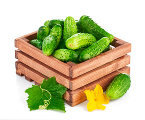 Fresh cucumber in wooden box with green leaf and flower.