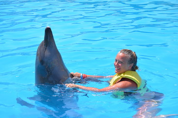 rencontre avec un dauphin
