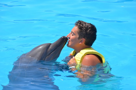 rencontre avec un dauphin