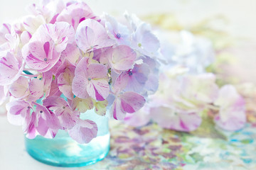 beautiful hydrangea flowers in a vase 