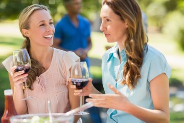 Happy friends drinking at the park 