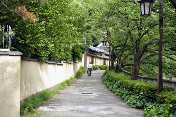 土壁と遊歩道