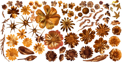 Golden flora collection of 68 gilded, real flower parts, studio photographed with partially liquid...