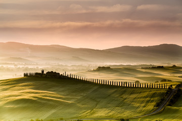 Tuscany road with cypress trees at sunst morning, Val d'Orcia, I