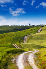 A country road in Tuscany, Italy.