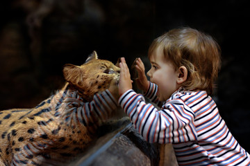 Leptailurus serval and little girl