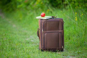 apple with a book suitcase